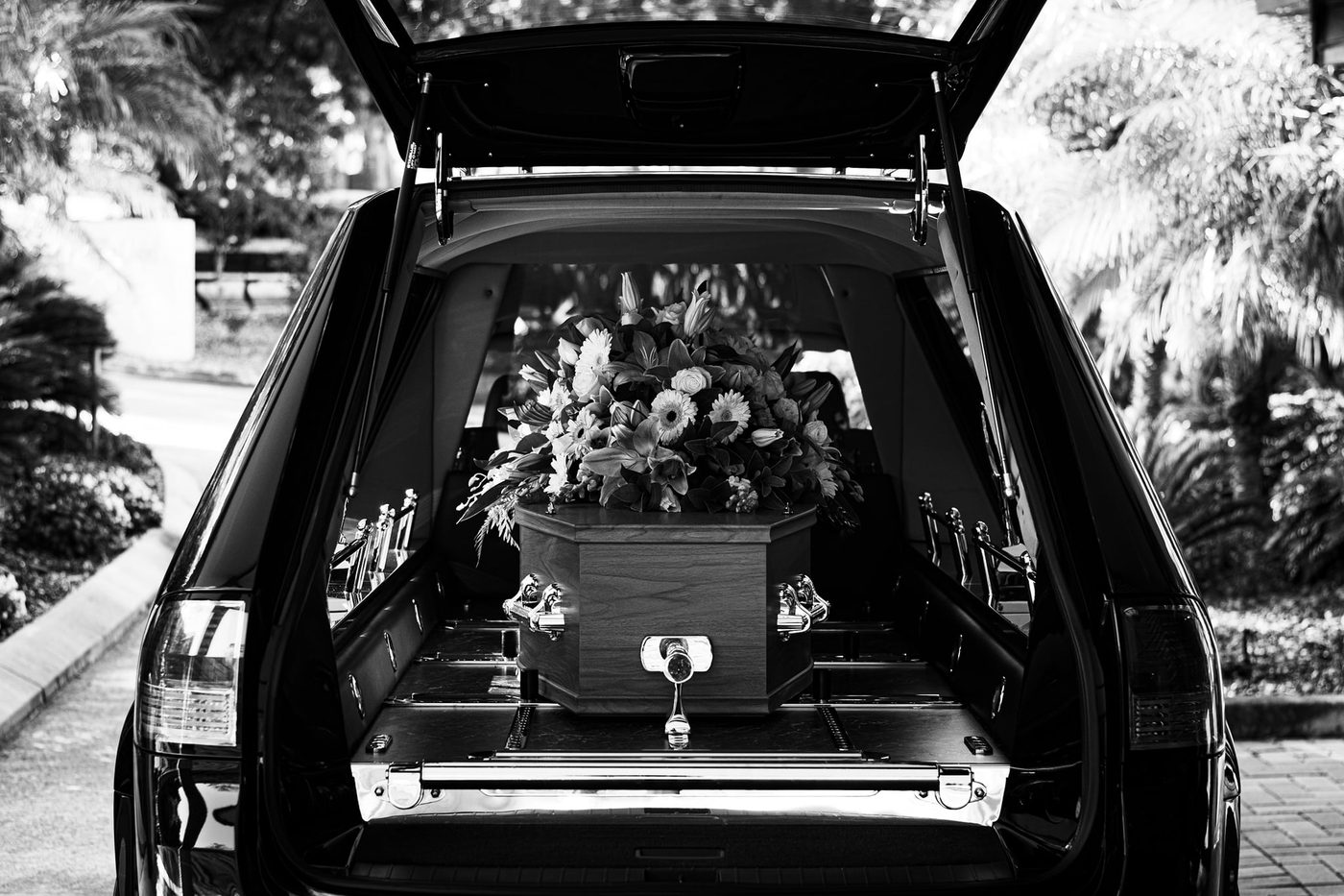 Transport funerar profesionist